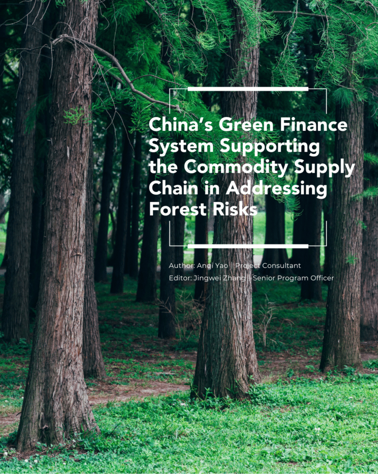 Report Release: China’s Green Finance System Supporting the Commodity Supply Chain in Addressing Forest Risks