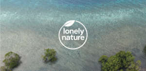 Newsletter Issue 3 November 2025