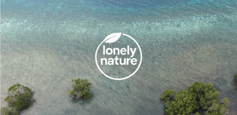 Newsletter Issue 3 November 2025