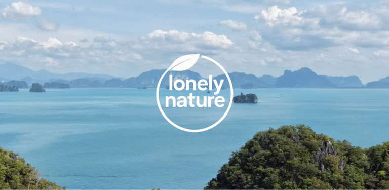 Newsletter Issue 4 January 2026