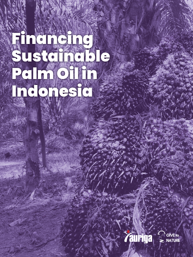 Financing for Indonesia Sustainable Palm Oil Report Released at Xiamen Dialogue on China–Indonesia Sustainable Palm Oil Trade & Green Finance