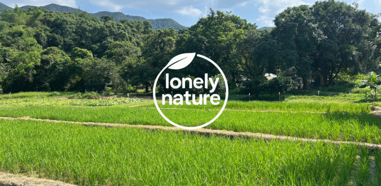 Newsletter Issue 7 July 2026